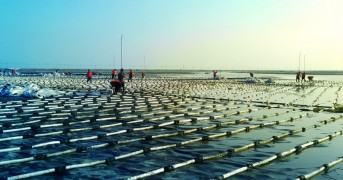 China Tianjin Eco-City Linhai New City Blowing Filling District 4567 Dongdi Road의 서쪽에있는 리필 및 진공 프리 압박 강원 랜드 슬롯 머신 종류